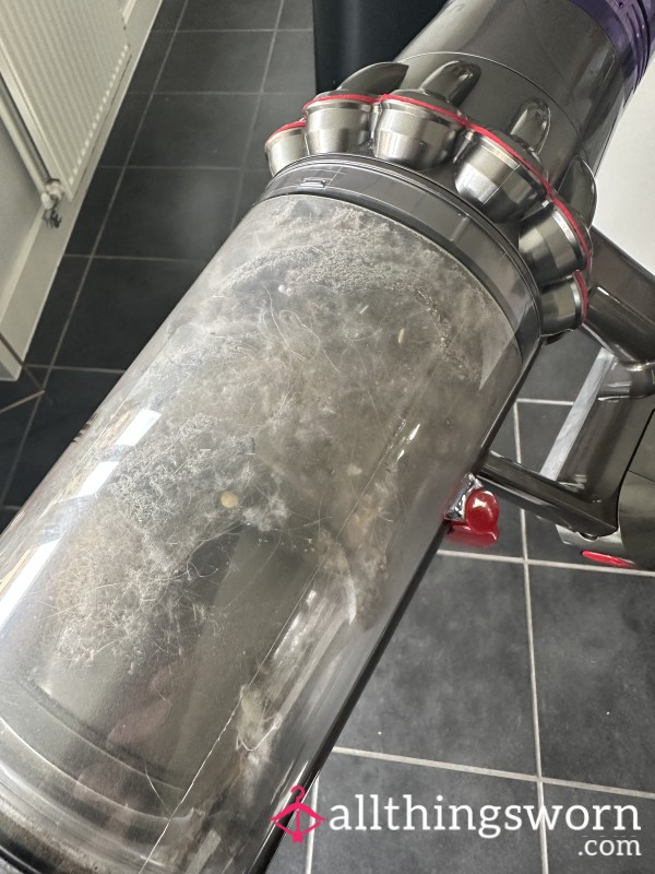 Vacuum Cleaner Contents
