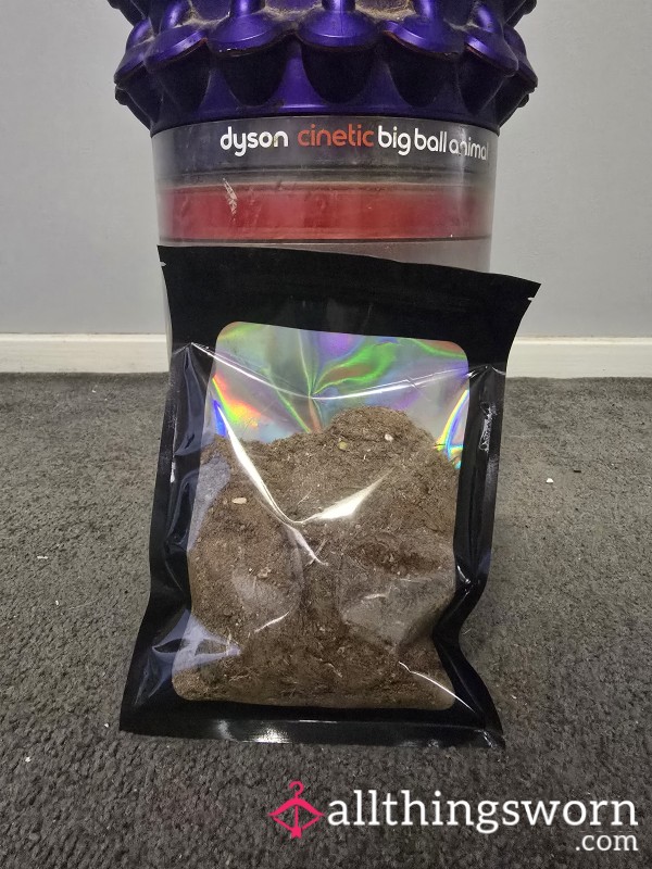 Vacuum Dirt