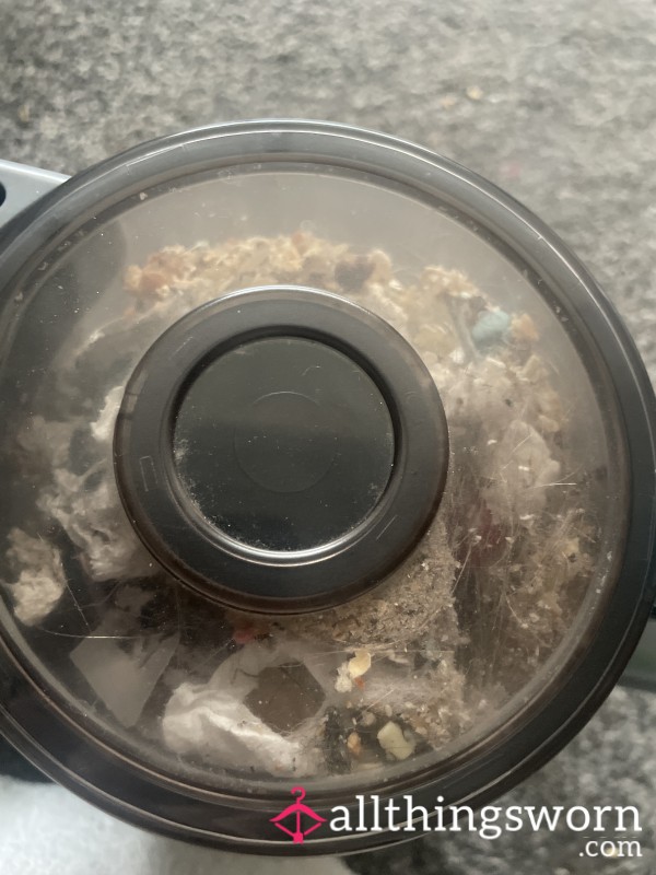 Vacuum Dust