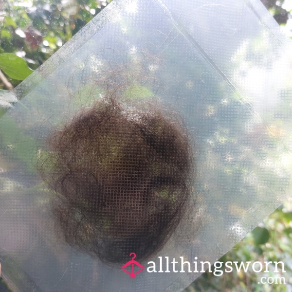 Vacuum Sealed Hair From My Brush