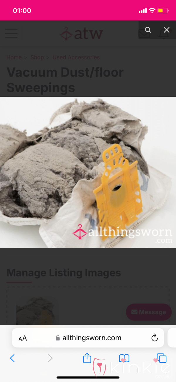 Vacuum Sweepings/brush