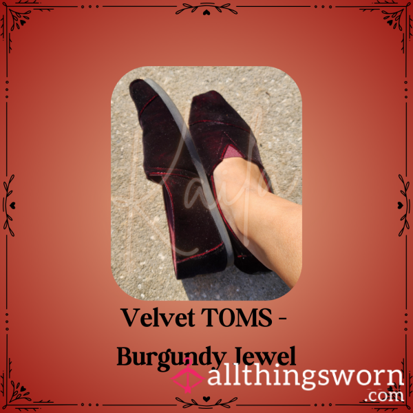 Velvet TOMS -  Burgundy Jewel
