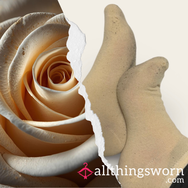 Dirty Neutral ⋆ Well Worn Stinky Trainer Socks