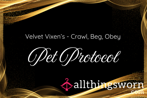 Velvet Vixens Pet Protocol A**ignment - Crawl, Beg, Obey