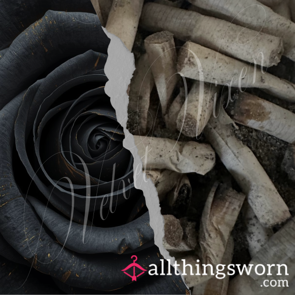 Velvet Vixen’s Ashes And Addiction ⋆ Used Cigarette Bu*ts