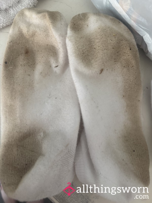Very Dirty Smelly Socks