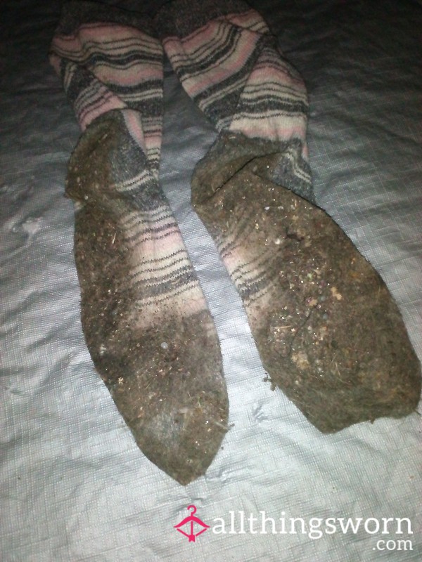 Very Dirty Socks
