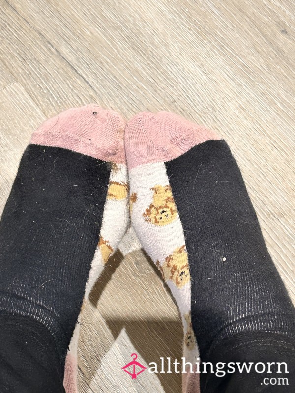 Very Dirty Socks Worn
