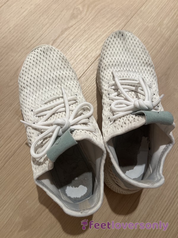 Very Old Sneakers With Foot Odor