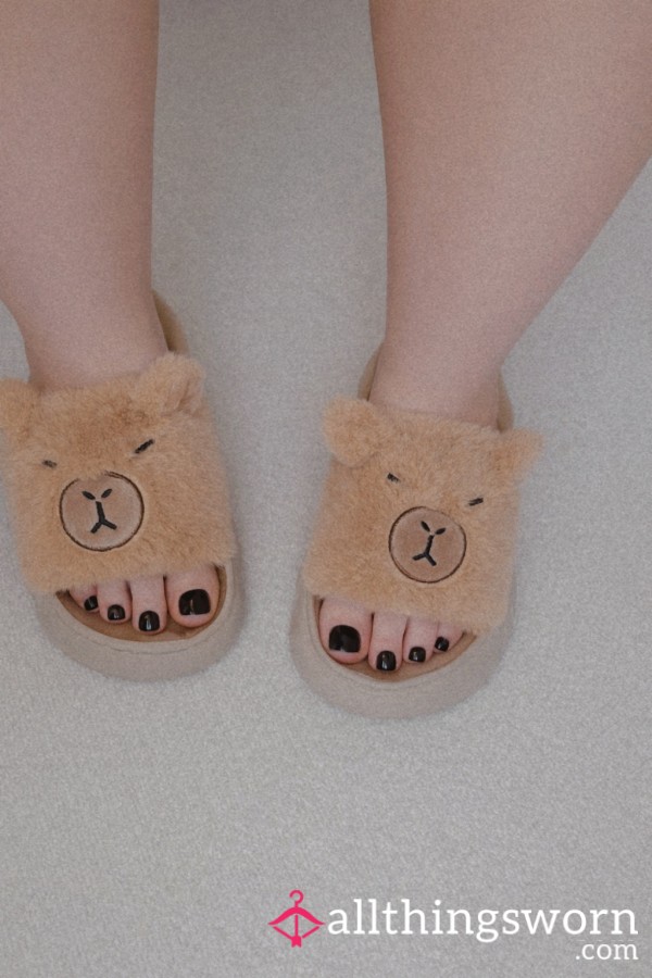 Very Used Capybara Slippers