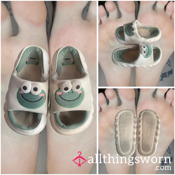 ꕤ VERY USED FROG SLIPPERS ꕤ