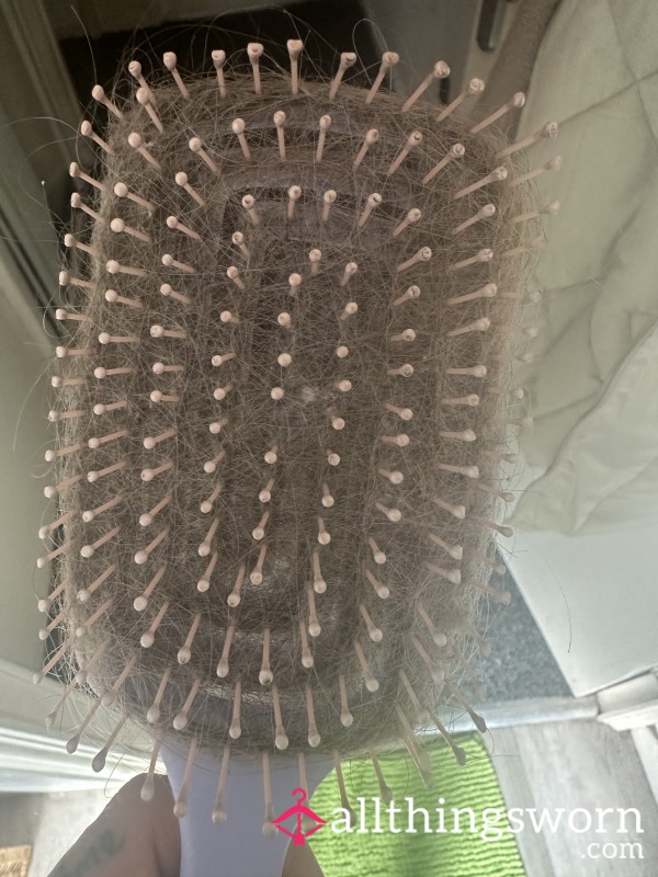 Very Used Hairbrush