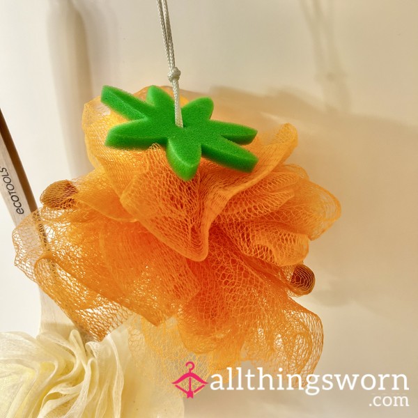 Very Used Loofah 🧼