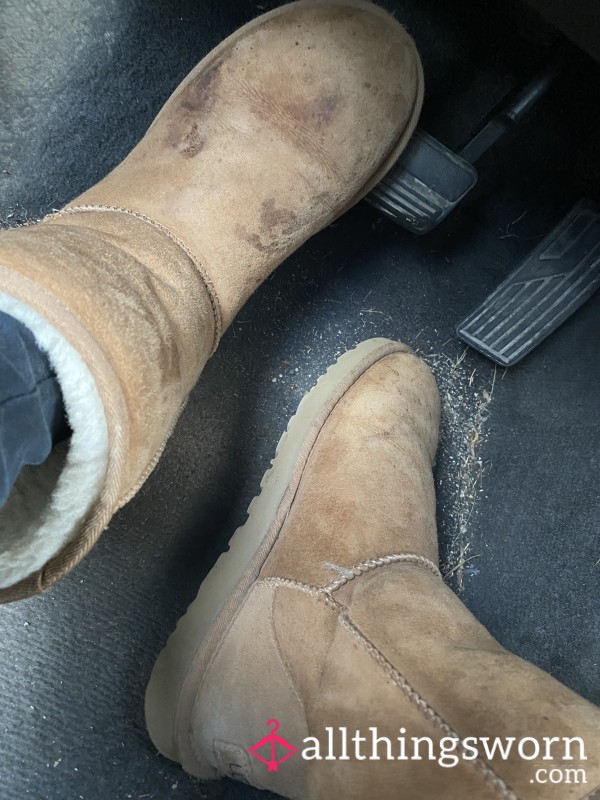 Very Used Uggs