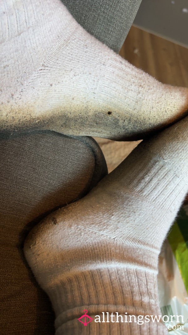Very, Very Smelly, Used Socks