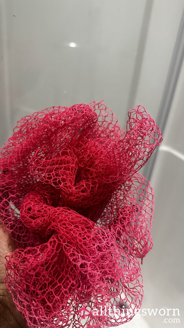 Very Well-Used African Net Sponge (1 Year+)💗
