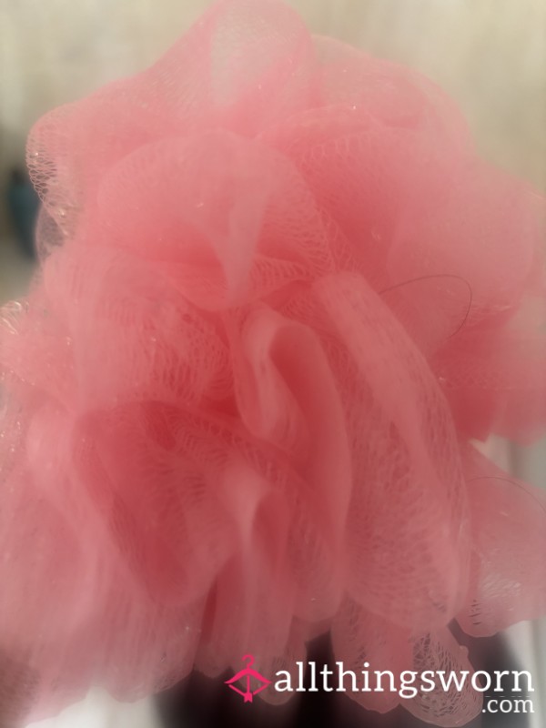 Very Well Used Loofa