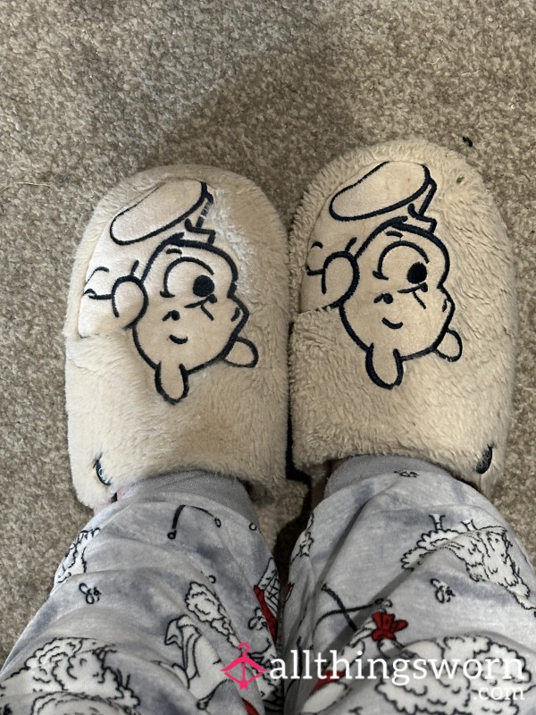 Very Well Used Slippers