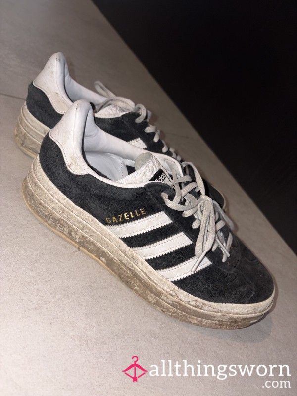 Very Well Worn Bold Gazelles