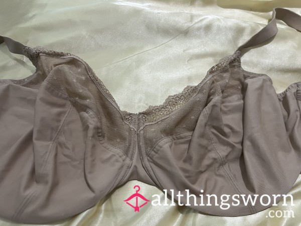Very Well Worn Bra