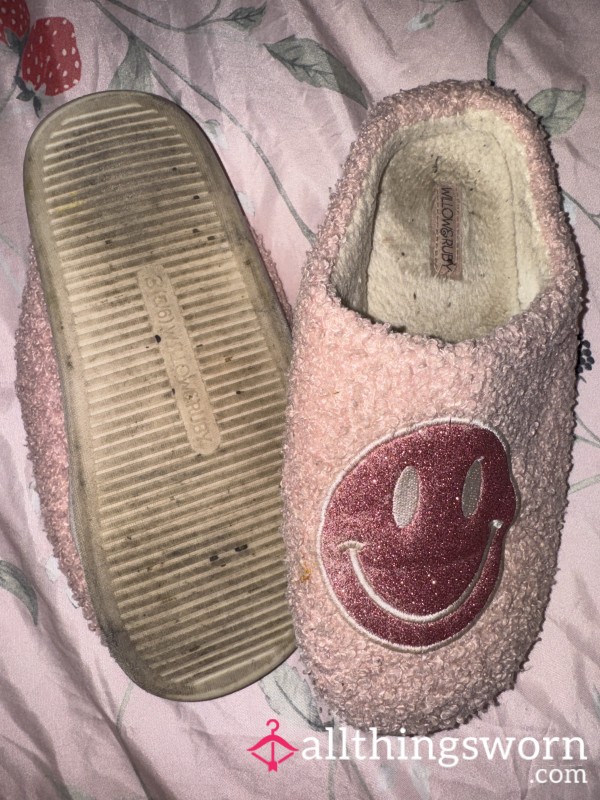 Very Well Worn Dirty Slippers