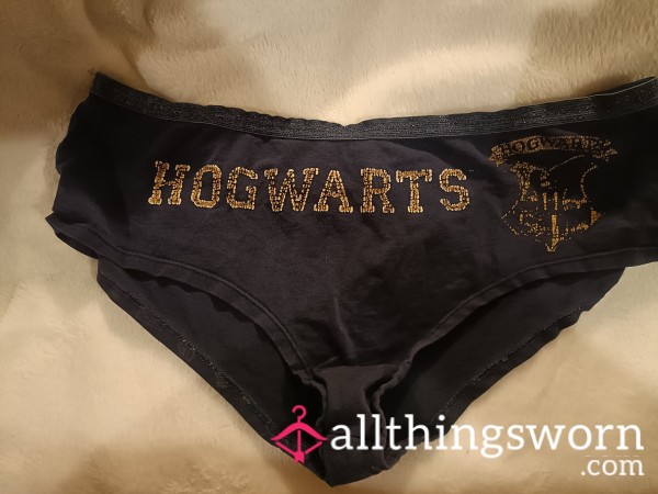 Very Well Worn Hogwarts Panties
