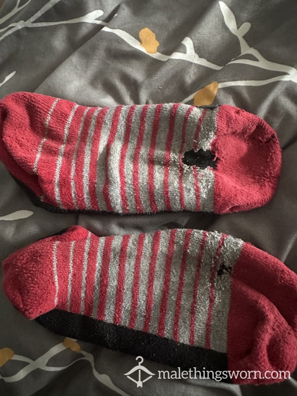 Very Well Worn Holy Socks