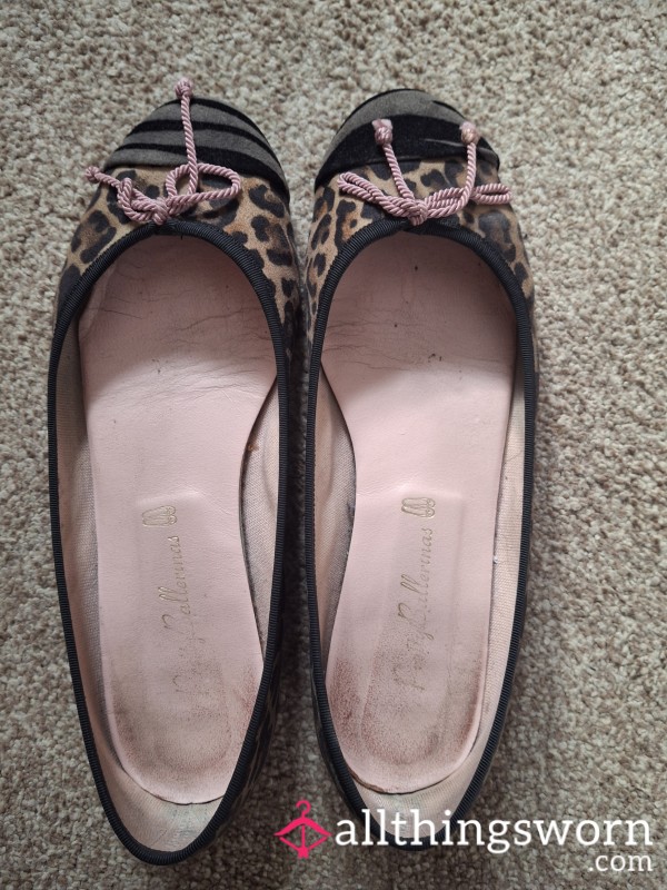 Very Well Worn Pretty Balerina Shoes