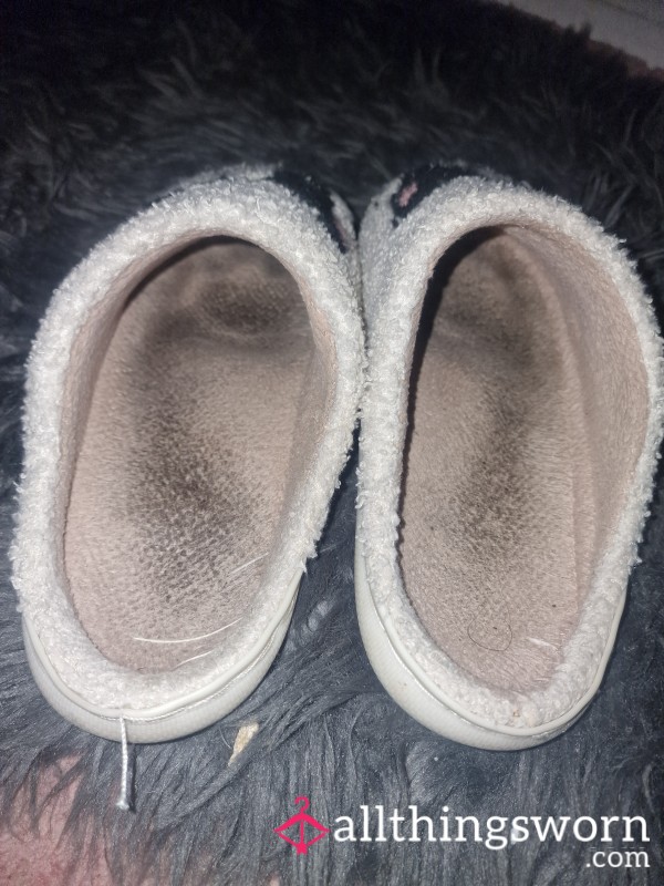 Very Well Worn Slippers