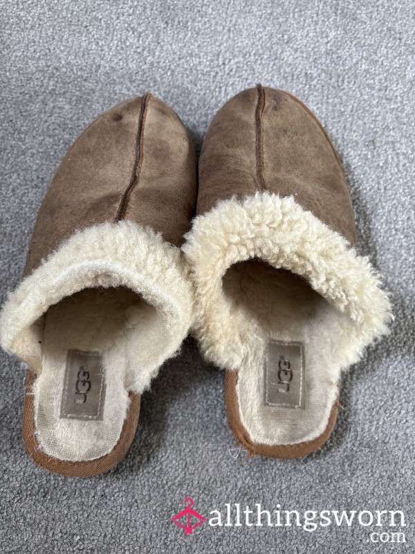 Very Well Worn Slippers