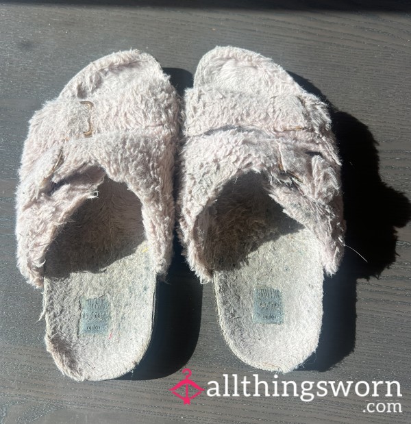 Very Well Worn Slippers