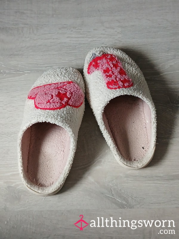 Very Well Worn Slippers