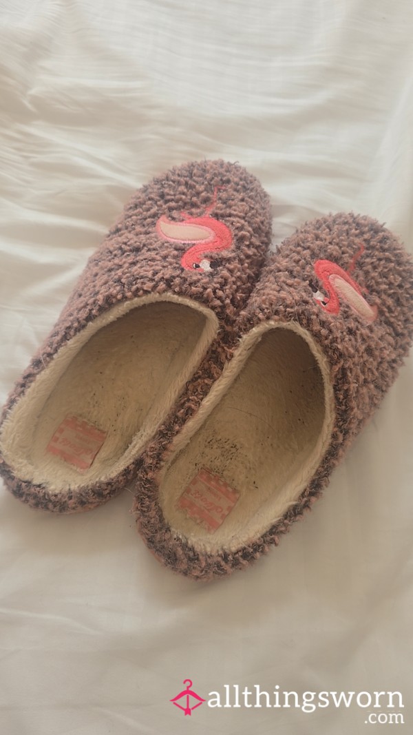 Very Well Worn And Smelly Slippers