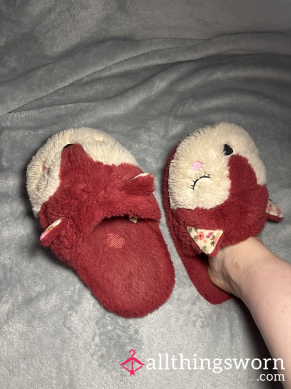 Very Well Worn Slippers