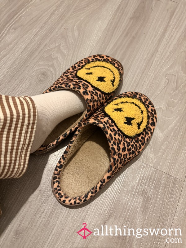 Very Well Worn Slippers