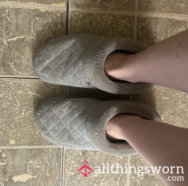 Very Well Worn Slippers