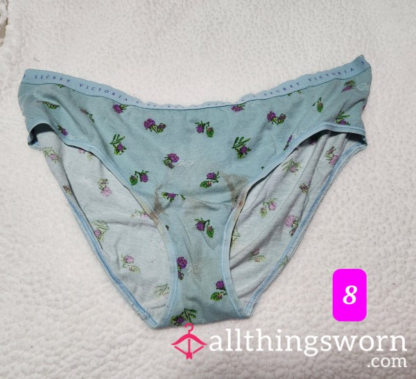 Very Well Worn VS Panties