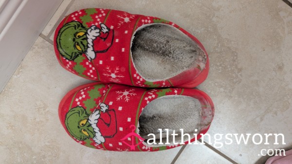 Very Worn Out Slippers