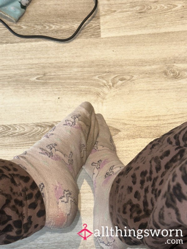 Very Worn, Slightly Stinky Socks