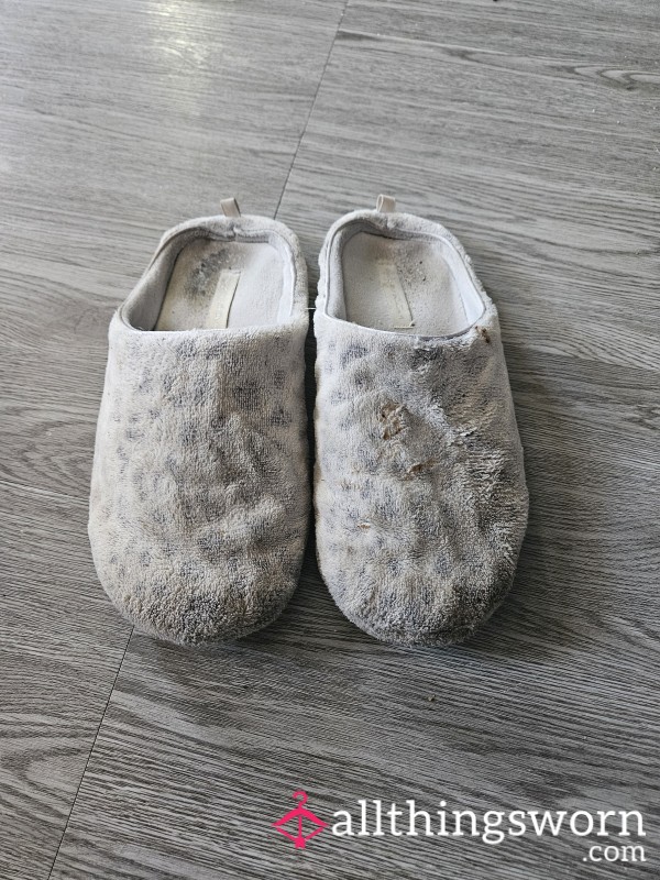 Very Worn Slippers