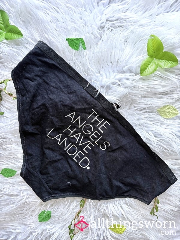 Victoria’s Secret “ 🕊️ The Angels Have Landed 🪽 HipHugger Panty (xl)