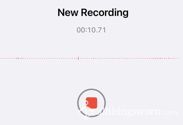 Voice Notes