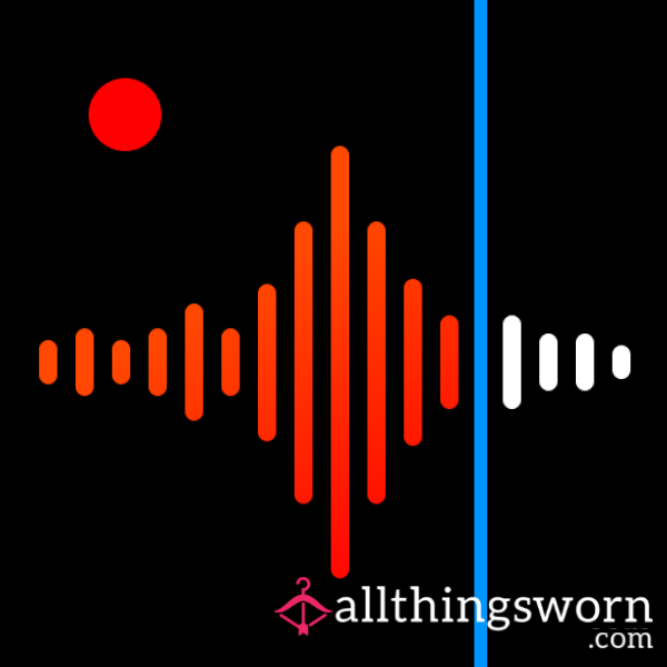 Voice Notes