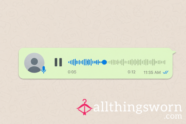 Voice Notes