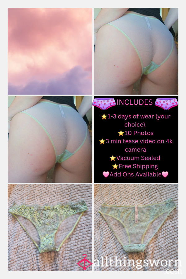 VS Teal Flor*l Net Panty