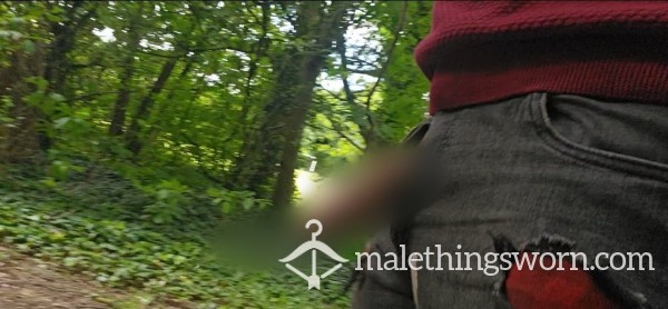 Walking And Pi*sing