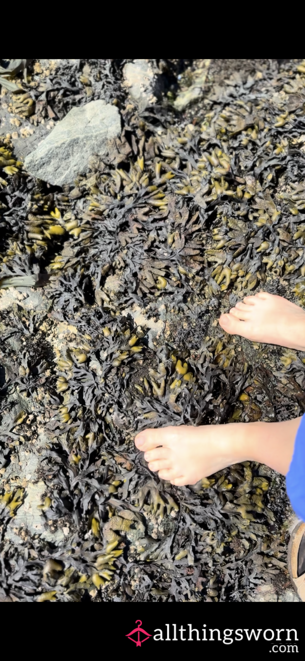 Walking On Seaweed