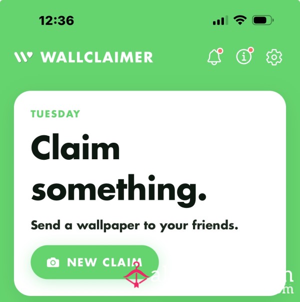 Wallclaimer Control Experience 😈 2 Weeks