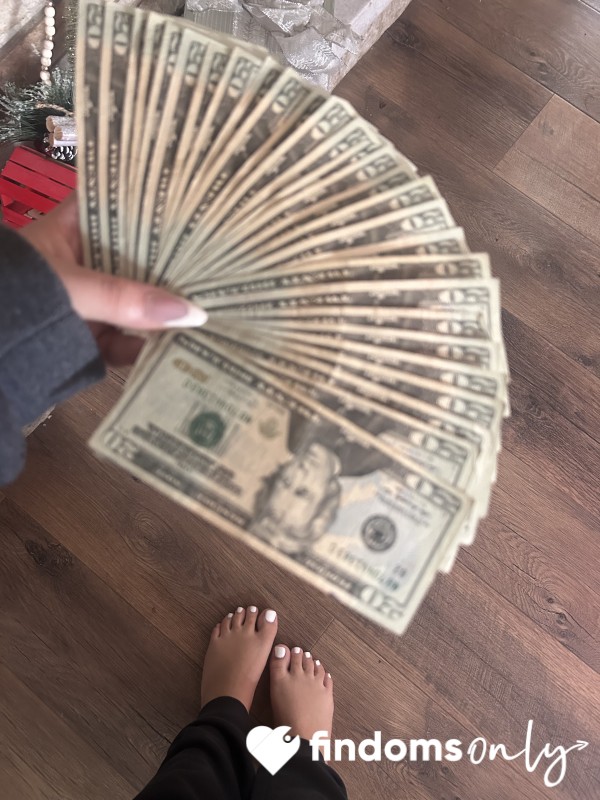 Wallet Drain 💳 Controlled Spending