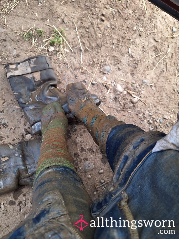 WAM In Its Outdoors Glory